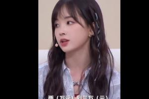 史上最昂贵!王冰冰:算一笔账,赴美观赛世界杯至少需2-3万人民币