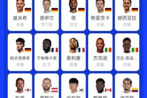 苦涩：拜仁17将征战世界杯，韩国球员金玟哉独木难支
